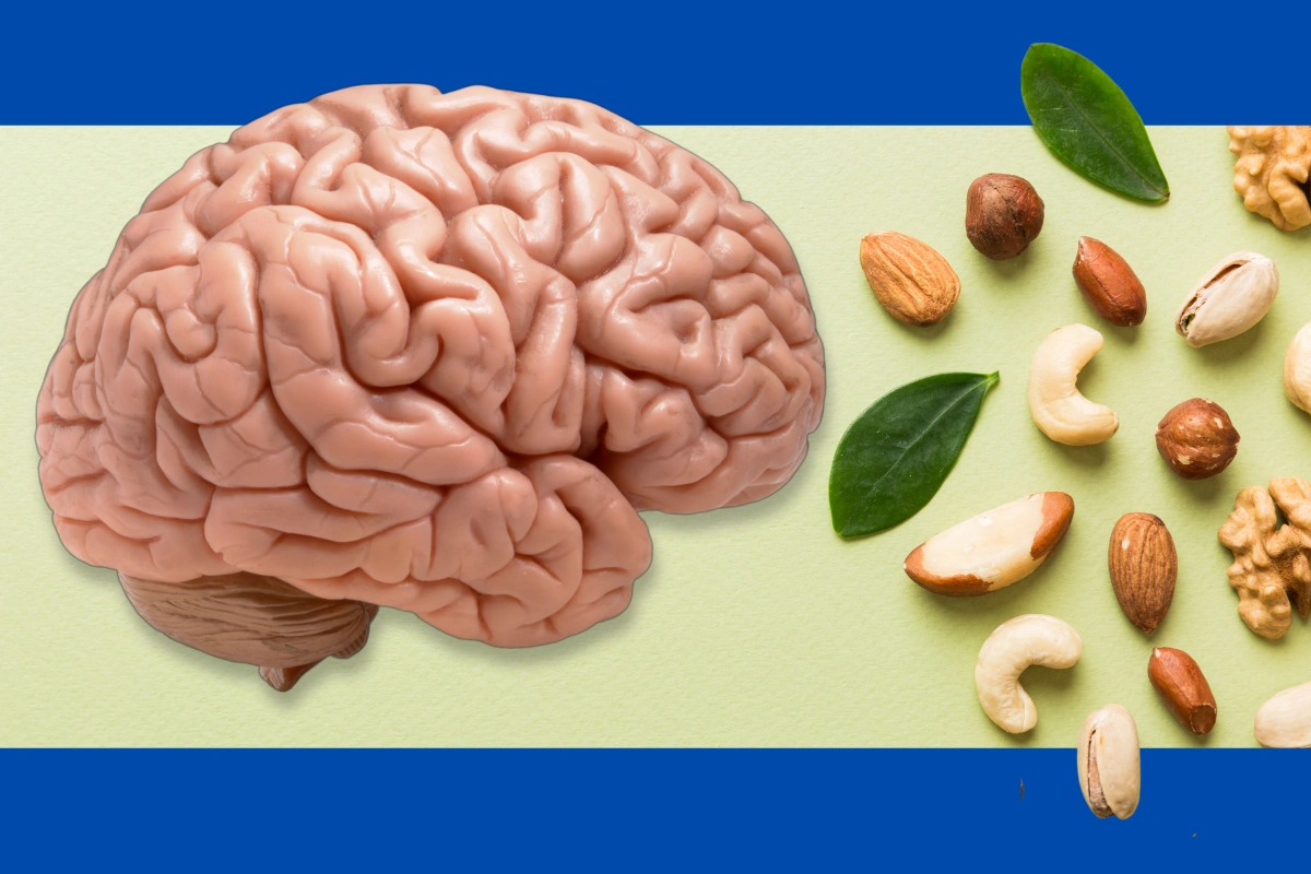 Rejuvenate Your Brain with Incredible Foods (Improve Your Memory)