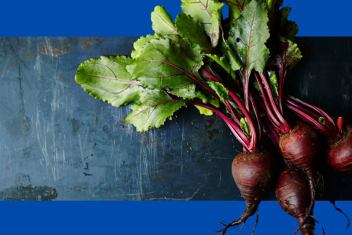 Beetroot for Heart Health and Enhanced Athletic Performance